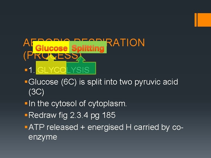 AEROBIC RESPIRATION Glucose Splitting (PROCESS) § 1. GLYCOLYSIS § Glucose (6 C) is split