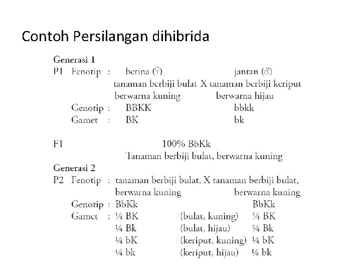 Contoh Persilangan dihibrida 