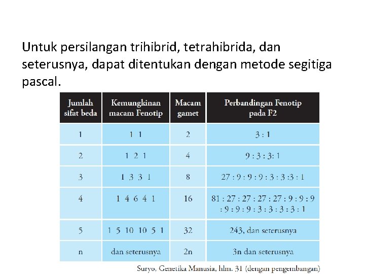 Untuk persilangan trihibrid, tetrahibrida, dan seterusnya, dapat ditentukan dengan metode segitiga pascal. 