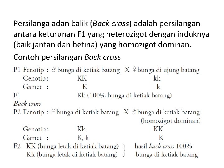 Persilanga adan balik (Back cross) adalah persilangan antara keturunan F 1 yang heterozigot dengan