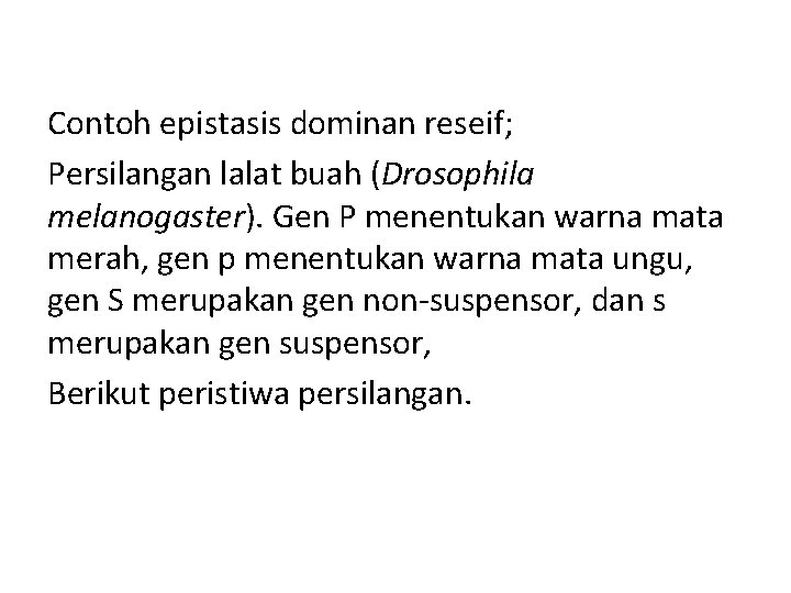 Contoh epistasis dominan reseif; Persilangan lalat buah (Drosophila melanogaster). Gen P menentukan warna mata