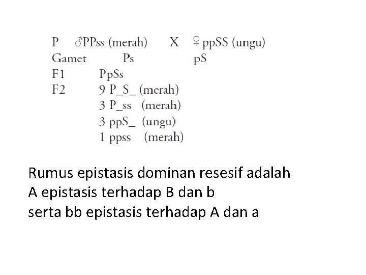 Rumus epistasis dominan resesif adalah A epistasis terhadap B dan b serta bb epistasis