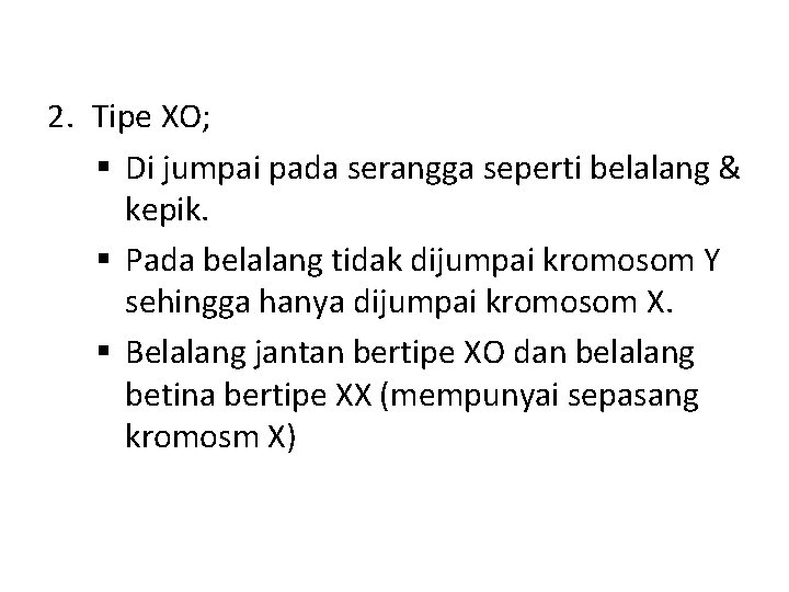 2. Tipe XO; § Di jumpai pada serangga seperti belalang & kepik. § Pada