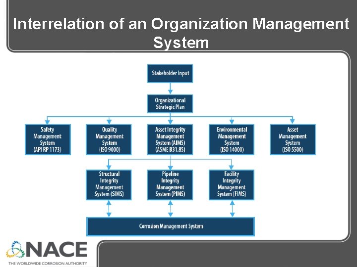 Interrelation of an Organization Management System Interrelation of an Organization Management System