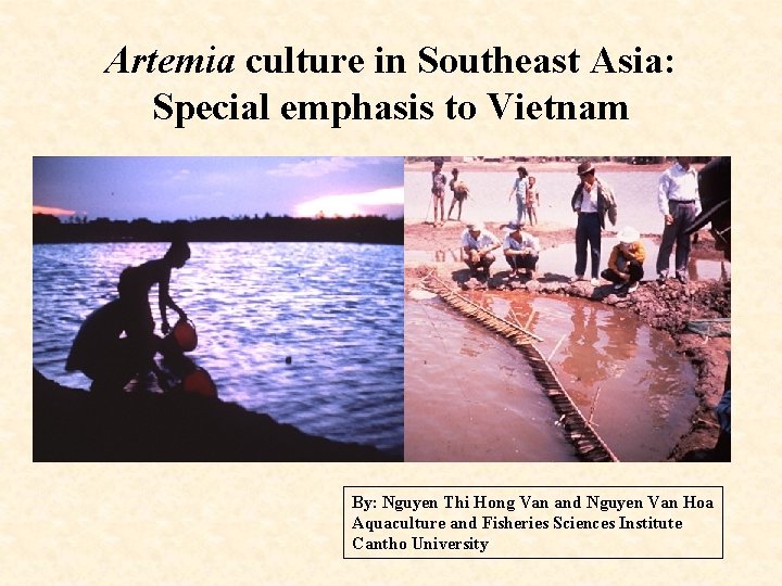 Artemia culture in Southeast Asia: Special emphasis to Vietnam By: Nguyen Thi Hong Van