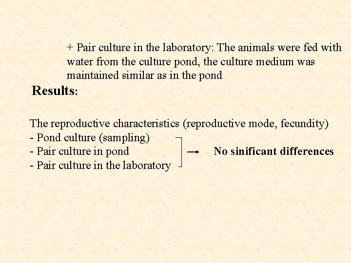 + Pair culture in the laboratory: The animals were fed with water from the