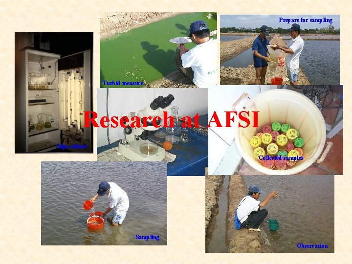Prepare for sampling Turbid measure Research at AFSI Alga culture Collected samples Sampling Observation