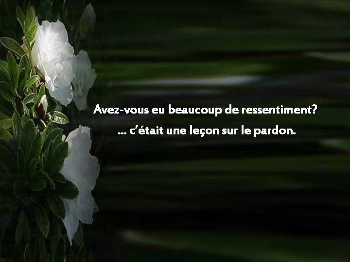 Avez-vous eu beaucoup de ressentiment? . . . c’était une leçon sur le pardon.