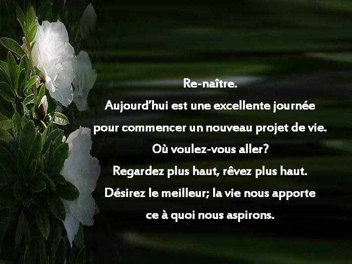 Re-naître. Aujourd’hui est une excellente journée pour commencer un nouveau projet de vie. Où
