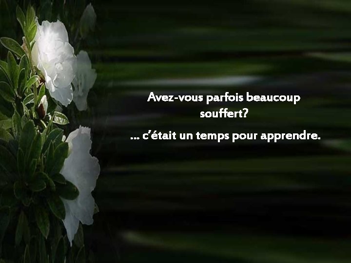 Avez-vous parfois beaucoup souffert? … c’était un temps pour apprendre. 