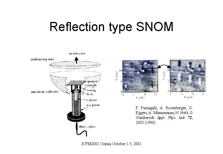 Reflection type SNOM P. Fumagalli, A. Rosenberger, G. Eggers, A. Münnemann, N. Held, G.