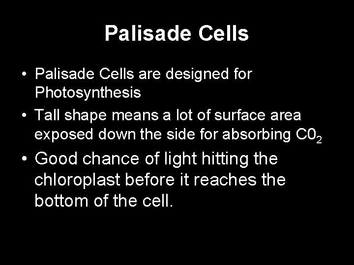 Palisade Cells • Palisade Cells are designed for Photosynthesis • Tall shape means a