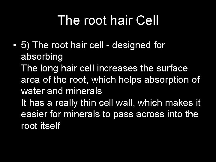 The root hair Cell • 5) The root hair cell - designed for absorbing