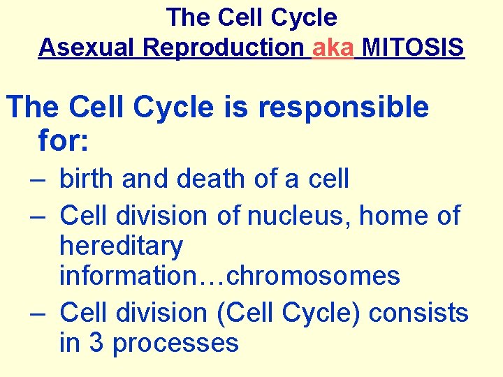 The Cell Cycle Asexual Reproduction aka MITOSIS The Cell Cycle is responsible for: –