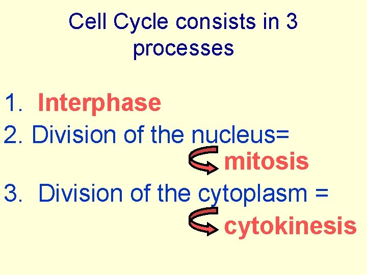 Cell Cycle consists in 3 processes 1. Interphase 2. Division of the nucleus= mitosis