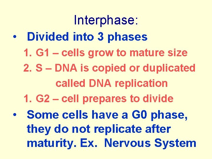 Interphase: • Divided into 3 phases 1. G 1 – cells grow to mature