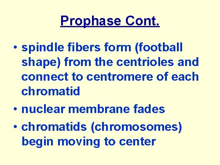 Prophase Cont. • spindle fibers form (football shape) from the centrioles and connect to