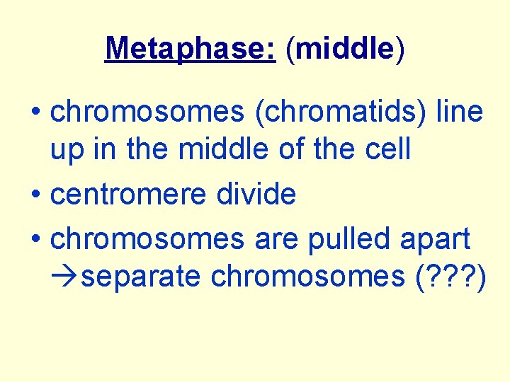 Metaphase: (middle) • chromosomes (chromatids) line up in the middle of the cell •