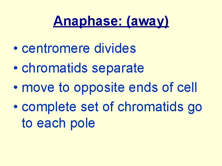 Anaphase: (away) • centromere divides • chromatids separate • move to opposite ends of