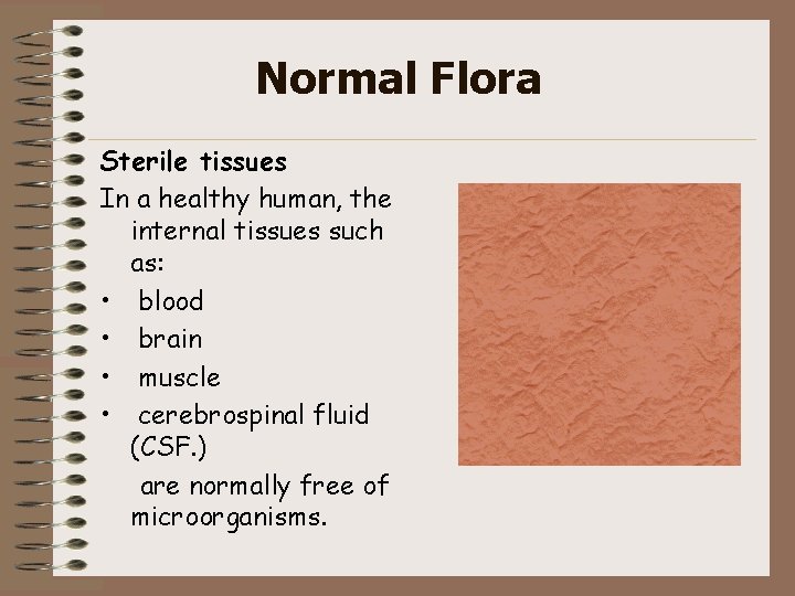 Normal Flora Sterile tissues In a healthy human, the internal tissues such as: •