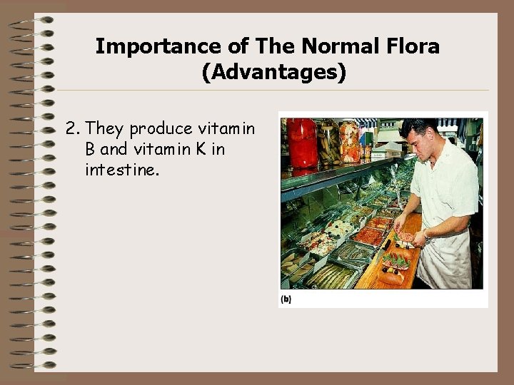 Importance of The Normal Flora (Advantages) 2. They produce vitamin B and vitamin K