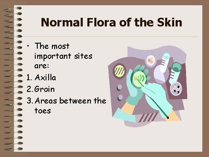 Normal Flora of the Skin • The most important sites are: 1. Axilla 2.