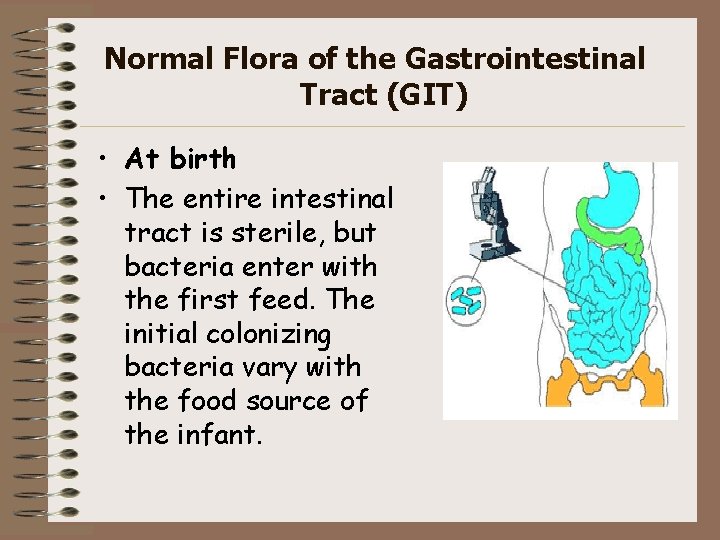 Normal Flora of the Gastrointestinal Tract (GIT) • At birth • The entire intestinal