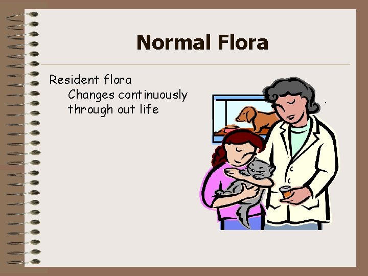 Normal Flora Resident flora Changes continuously through out life . 