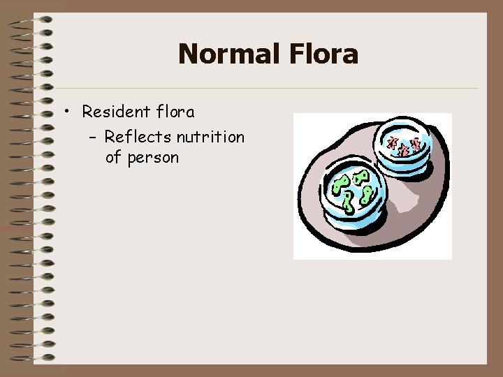 Normal Flora • Resident flora – Reflects nutrition of person 