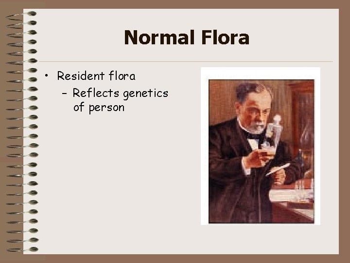 Normal Flora • Resident flora – Reflects genetics of person 