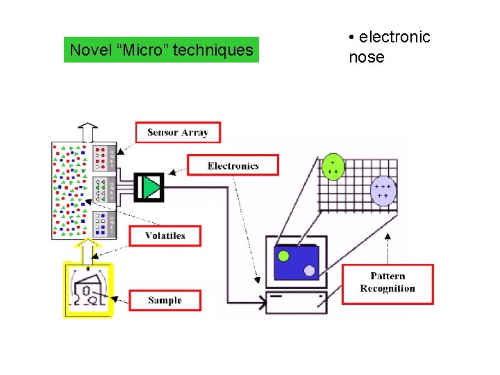 Novel “Micro” techniques • electronic nose 