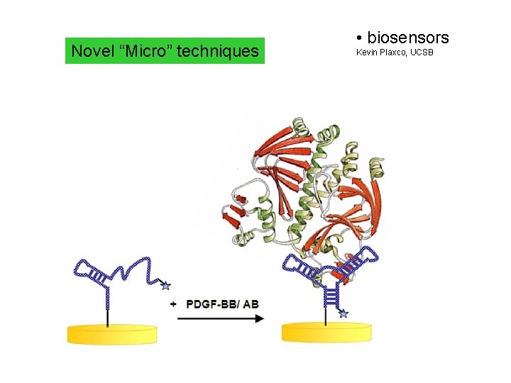 Novel “Micro” techniques • biosensors Kevin Plaxco, UCSB 