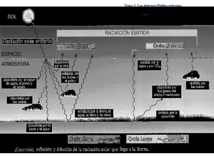 Tema 3. Los sistemas fluidos externos 