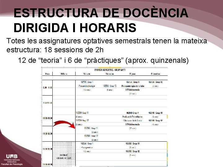 ESTRUCTURA DE DOCÈNCIA DIRIGIDA I HORARIS Totes les assignatures optatives semestrals tenen la mateixa