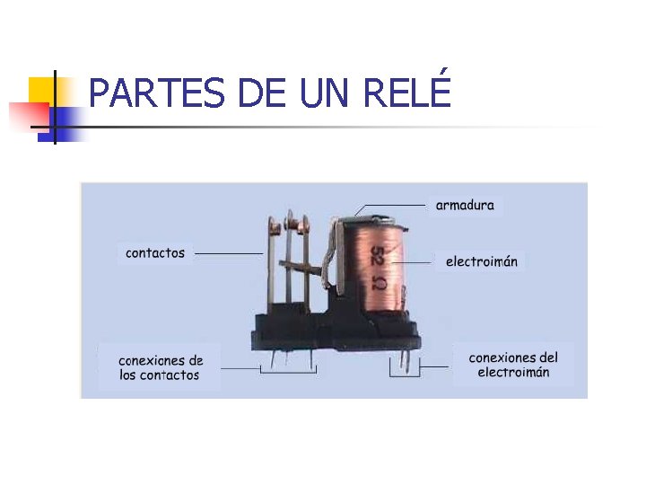 EL REL Para qu sirven PARTES DE UN