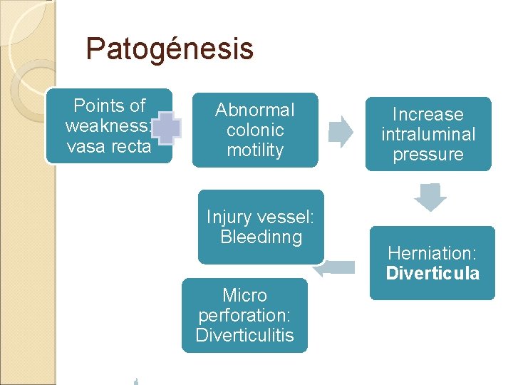 Patogénesis Points of weakness: vasa recta Abnormal colonic motility Injury vessel: Bleedinng Micro perforation: