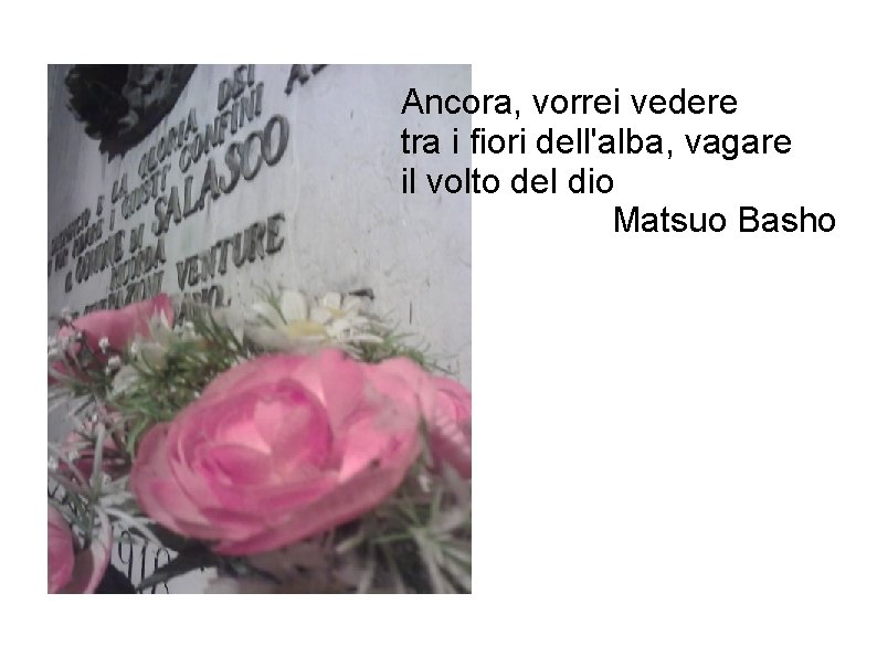 Ancora, vorrei vedere tra i fiori dell'alba, vagare il volto del dio Matsuo Basho