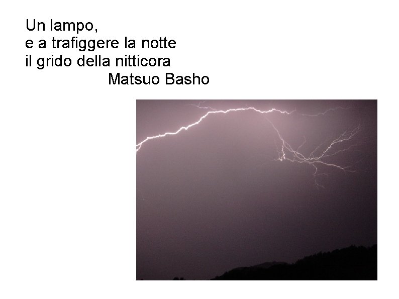 Un lampo, e a trafiggere la notte il grido della nitticora Matsuo Basho 