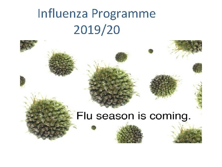 Influenza Programme 2019/20 
