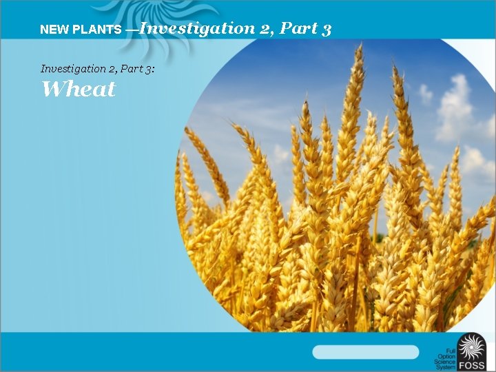 NEW PLANTS —Investigation 2, Part 3: Wheat 2, Part 3 