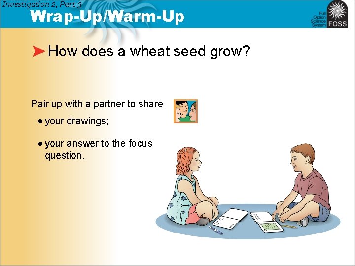 Investigation 2, Part 3 Wrap-Up/Warm-Up How does a wheat seed grow? Pair up with