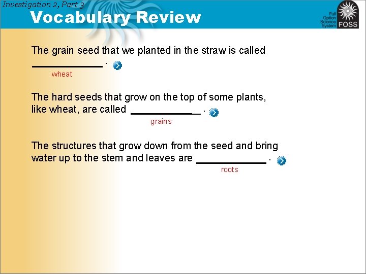 Investigation 2, Part 3 Vocabulary Review The grain seed that we planted in the