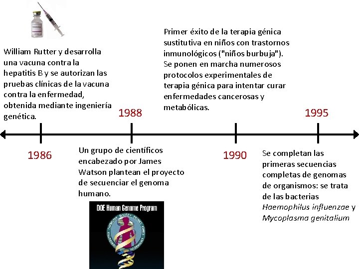 William Rutter y desarrolla una vacuna contra la hepatitis B y se autorizan las