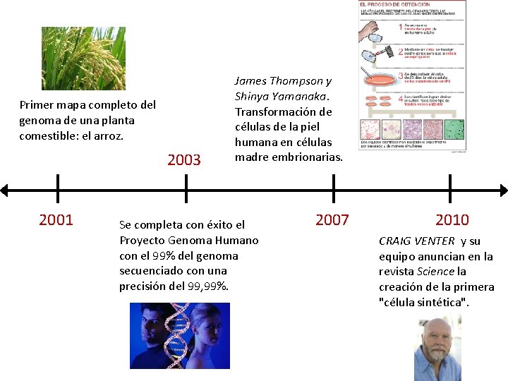 Primer mapa completo del genoma de una planta comestible: el arroz. 2003 2001 James