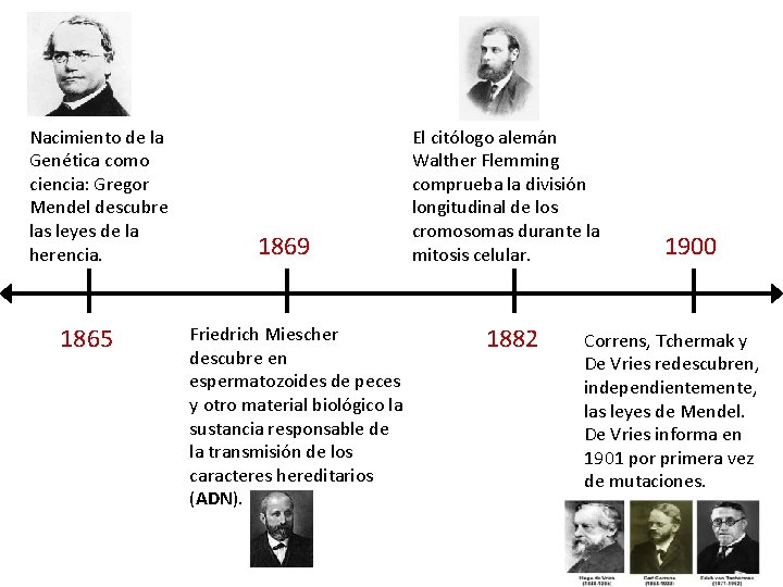 Nacimiento de la Genética como ciencia: Gregor Mendel descubre las leyes de la herencia.