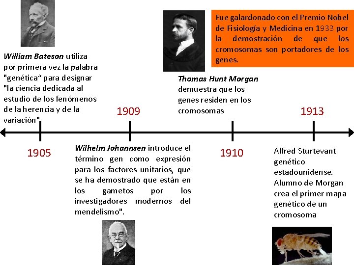 William Bateson utiliza por primera vez la palabra "genética“ para designar "la ciencia dedicada