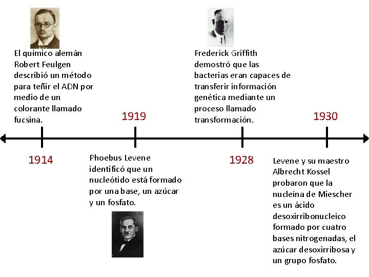 El químico alemán Robert Feulgen describió un método para teñir el ADN por medio