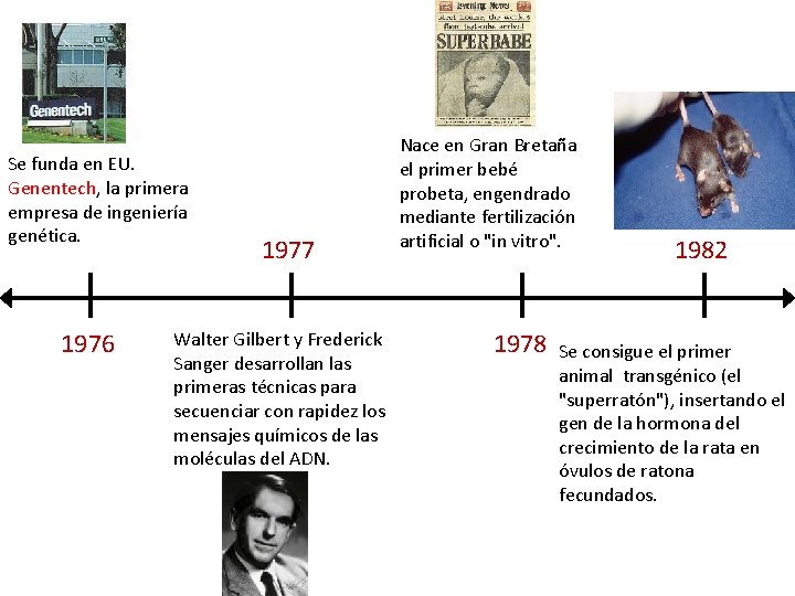 Se funda en EU. Genentech, la primera empresa de ingeniería genética. 1976 1977 Walter