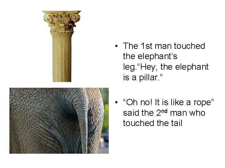  • The 1 st man touched the elephant’s leg. “Hey, the elephant is