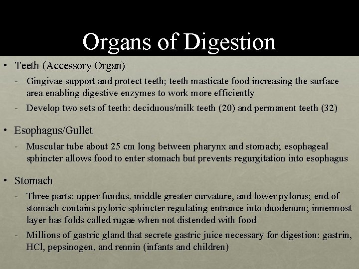Organs of Digestion • Teeth (Accessory Organ) - Gingivae support and protect teeth; teeth